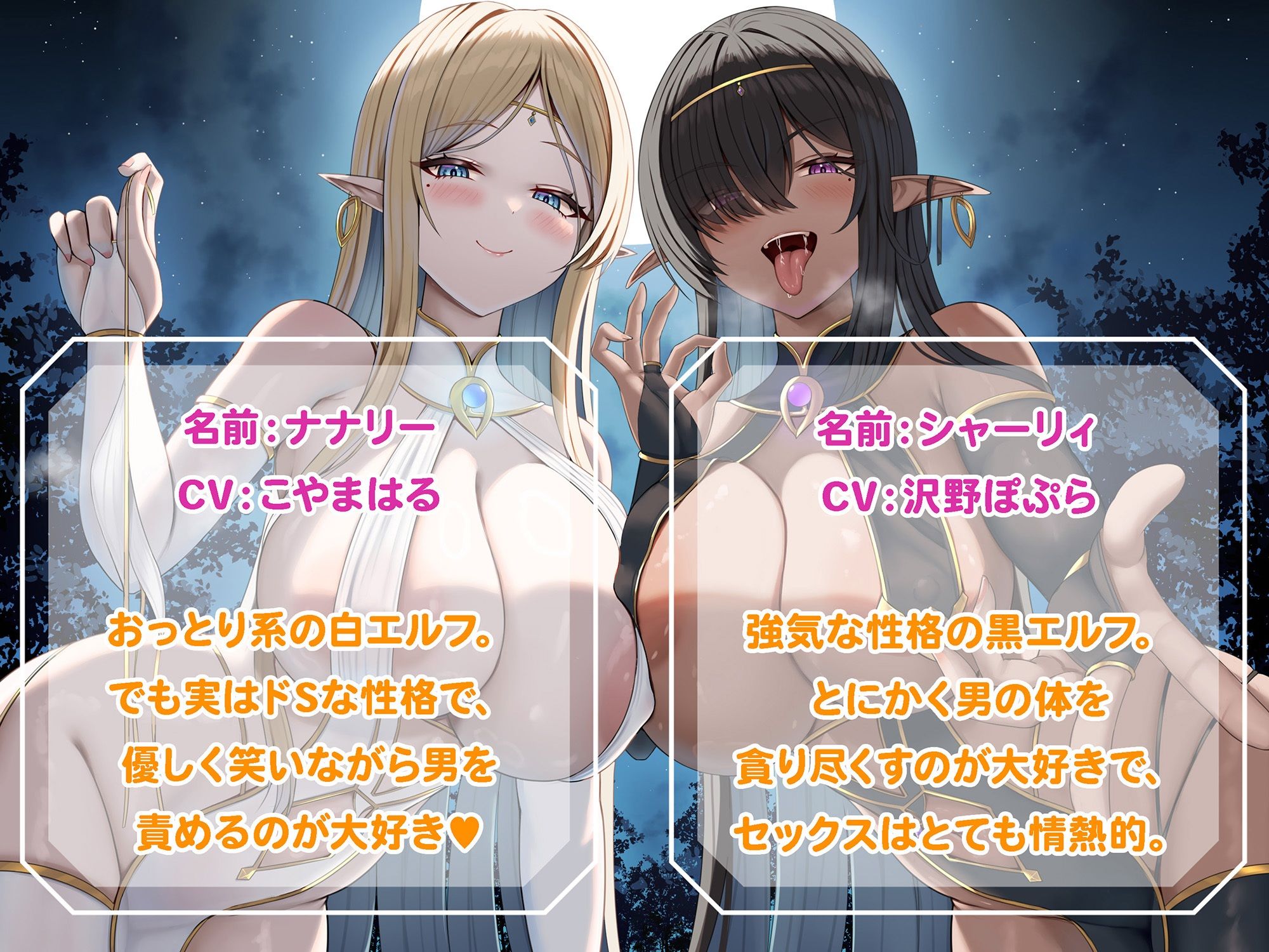 サンプル画像3:どスケベWエルフのカウントダウン地獄【世界独占シリーズ】(セブンティーン・スタジオ) [d_558530]