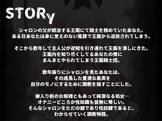メス顔で完堕ち敗北する気高きお姫様 〜凌○レ○プで従順な雌奴○となる〜 画像3