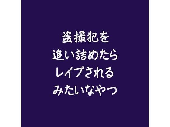 盗撮犯を追い詰めたらレ●プされるみたいなやつ(ああ)