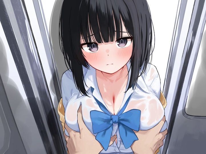 サンプル画像1:【声我慢×オホ声】電車でおとなしい巨乳JKに痴●する(シーソング) [d_562673]