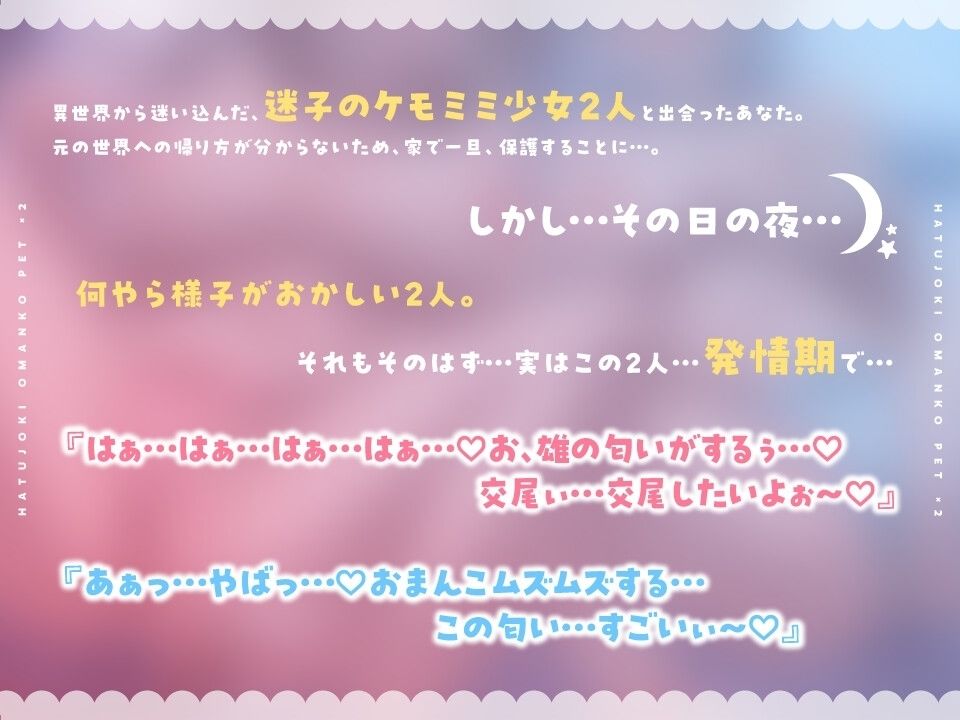発情期おまんこペット×2(逆レ●プでおまんこ即堕ち、ハート目しゅきしゅきメロメロになるため、イチャラブ求愛多め。) 画像1
