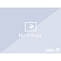 NoTitle（1）