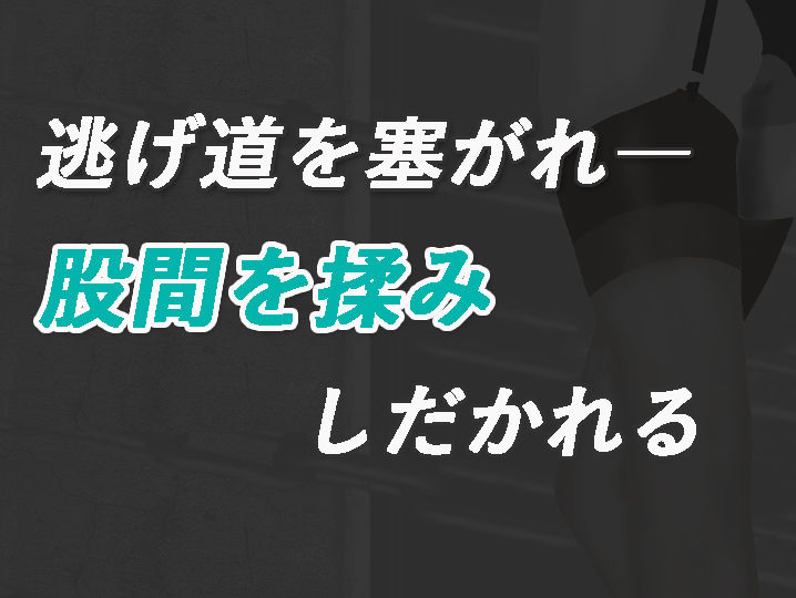 加賀美レイナに堕ちた童貞マゾの回顧録02-彼女の前でお漏らし射精- 画像6