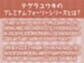 密着お布団生ハメメイド2〜布団を被りながら耳元囁き〜【フォーリーサウンド】