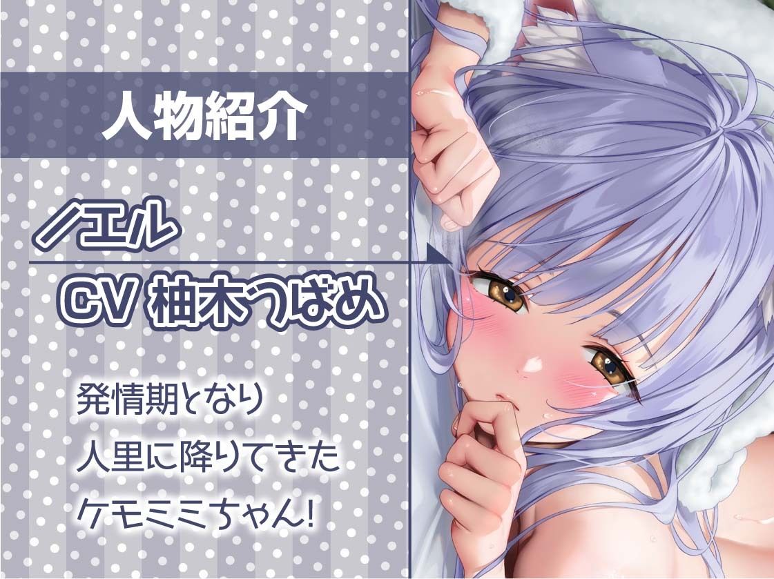 無口ケモミミちゃんと繁殖交尾【フォーリーサウンド】 画像5