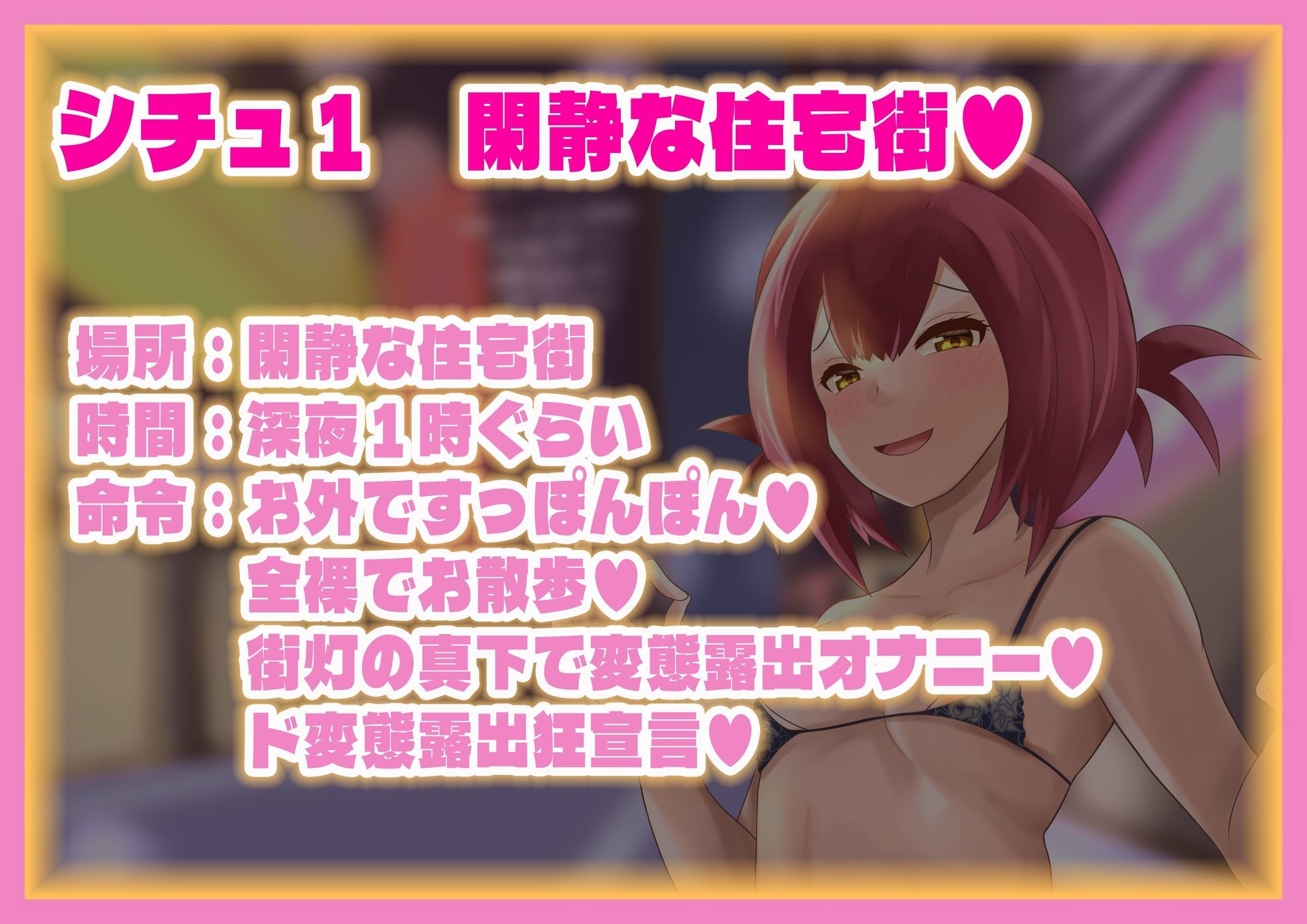 あなたの欲望を満たす 変態露出マゾ芸調教 画像1
