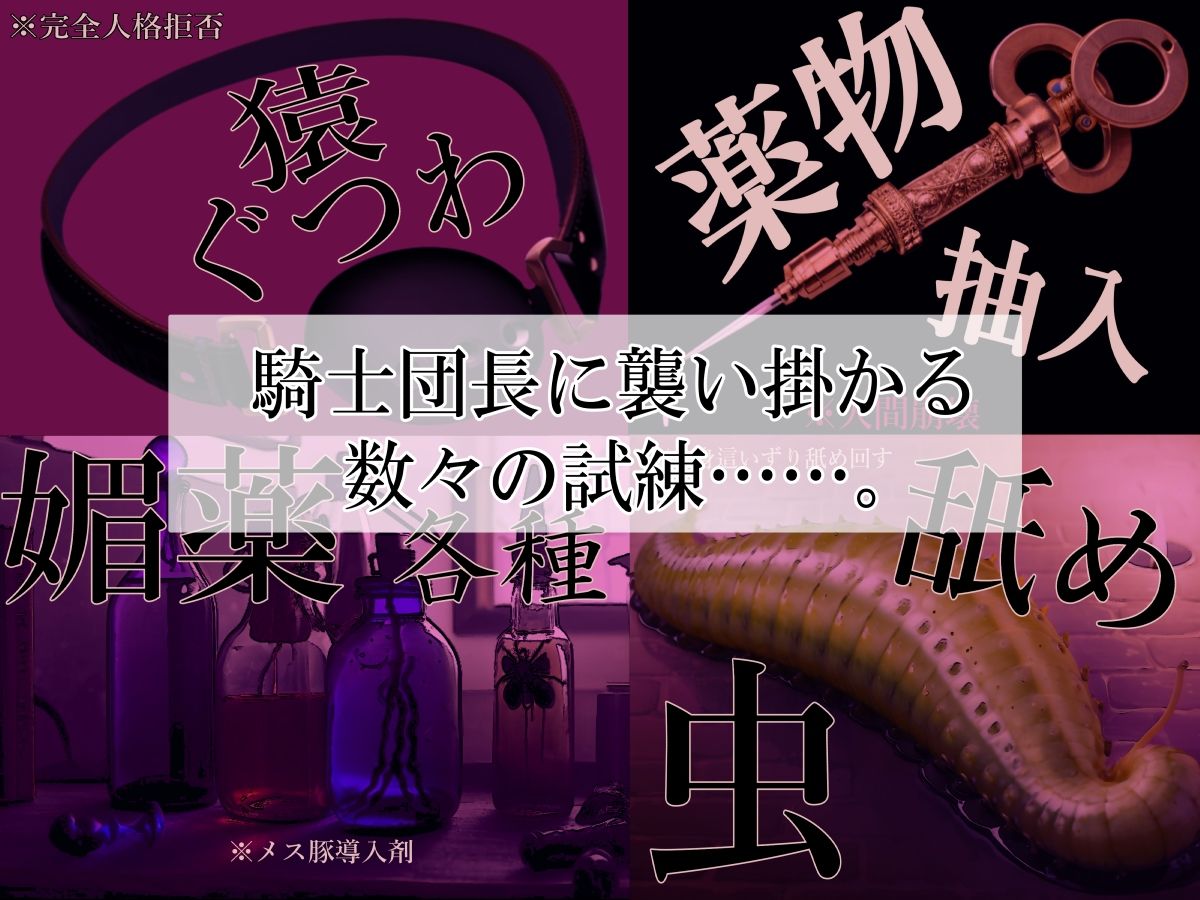 高潔女騎士団長、無様なる陥落！ 男前→メス豚化ッ！！_2