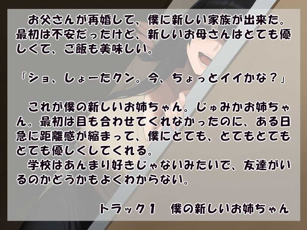 サンプル画像1:お姉ちゃんはだいぶ危ない(近未来のふわふわ) [d_620042]