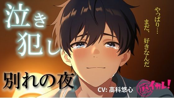 泣き犯し〜 同棲解除日記 ― 最後の夜、僕たちは涙を流しながら身体を重ねた 〜 ASMRバイノーラル泣きエッチカップル日常別れ感動あまあま中出し