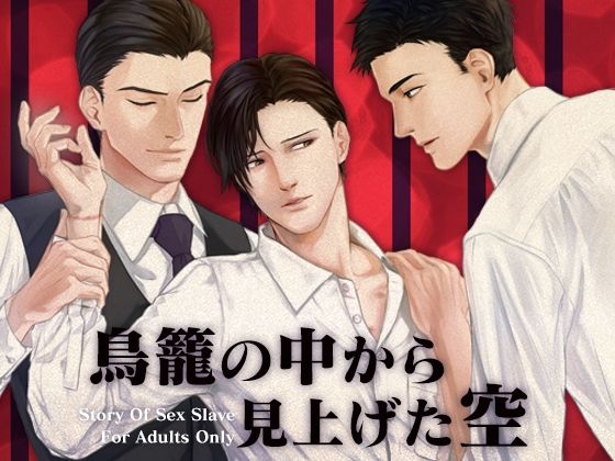 鳥籠の中から見上げた空 画像1