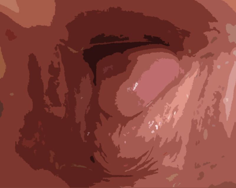 サンプル画像1:（ASMR）わたしの蟲姦遊び 第10話 妊娠中、子宮口にミミズを入れる編 音声(シングルママの日常) [d_632118]