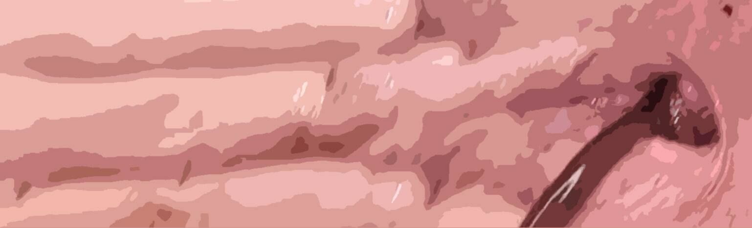 サンプル画像2:（ASMR）わたしの蟲姦遊び 第10話 妊娠中、子宮口にミミズを入れる編 音声(シングルママの日常) [d_632118]