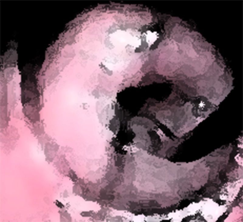 サンプル画像4:わたしの蟲姦遊び 第11話 妊娠中、子宮口にゴキブリを入れる編 音声（ASMR）(シングルママの日常) [d_632119]