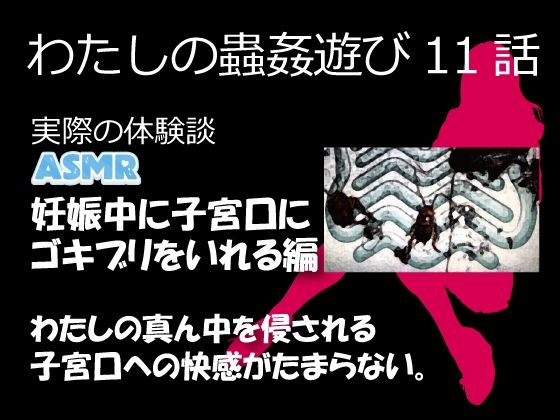 わたしの蟲姦遊び 第11話 妊娠中、子宮口にゴキブリを入れる編 音声（ASMR）(シングルママの日常)