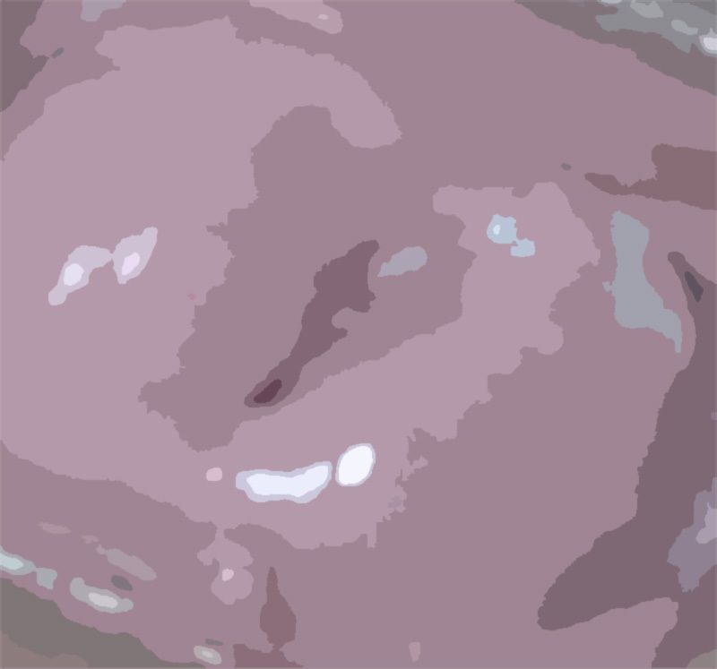 サンプル画像2:わたしの蟲姦遊び 第12話 子宮口にミミズを入れてデンマでオナニー編 音声（ASMR）(シングルママの日常) [d_632123]