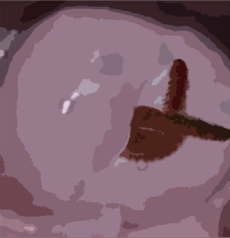 サンプル画像3:わたしの蟲姦遊び 第12話 子宮口にミミズを入れてデンマでオナニー編 音声（ASMR）(シングルママの日常) [d_632123]