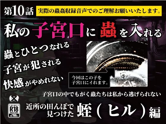 d_636864の画像