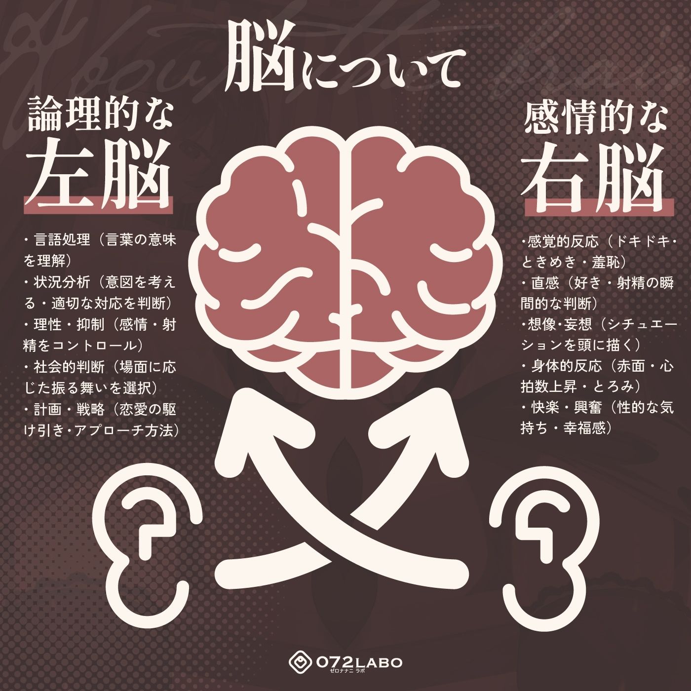 【脳バグ】命令の右耳とドスケベ本心が聞こえる左耳「右耳左耳右脳左脳」〜とても厳しい射精管理官★低音ボイスお姉さんの本音〜【射精管理官の本音】 画像3
