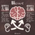 【脳バグ】命令の右耳とドスケベ本心が聞こえる左耳「右耳左耳右脳左脳」〜とても厳しい射精管理官★低音ボイスお姉さんの本音〜【射精管理官の本音】