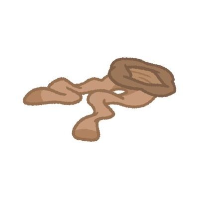 足奴●ペット飼育マニュアル【靴下種編】 画像1