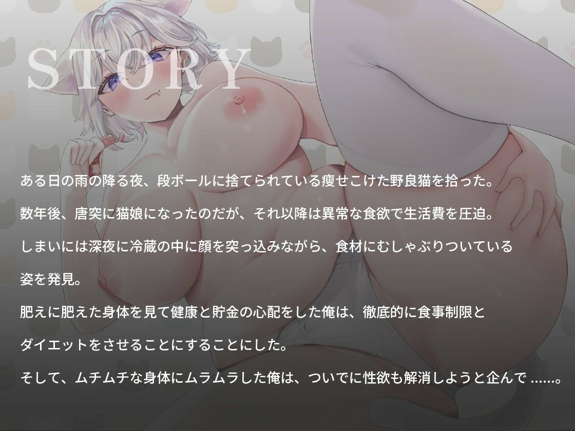 【ぽっちゃり】公園に捨てられていた白猫娘ちゃんがむちむちボディになりすぎたので、セックスダイエットで痩せさせてみた話【バイノーラル/巨乳】 画像1