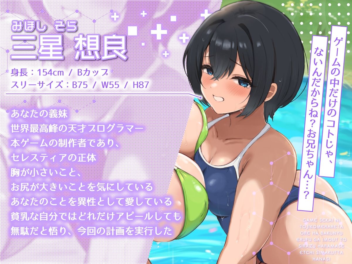 サンプル画像4:【2時間40分】ゲーム世界に閉じ込められた俺は爆乳エルフが妹と知らず孕ませエッチしまくった話【バイノーラル/兄妹/ファンタジー】(巨乳大好き屋) [d_652885]