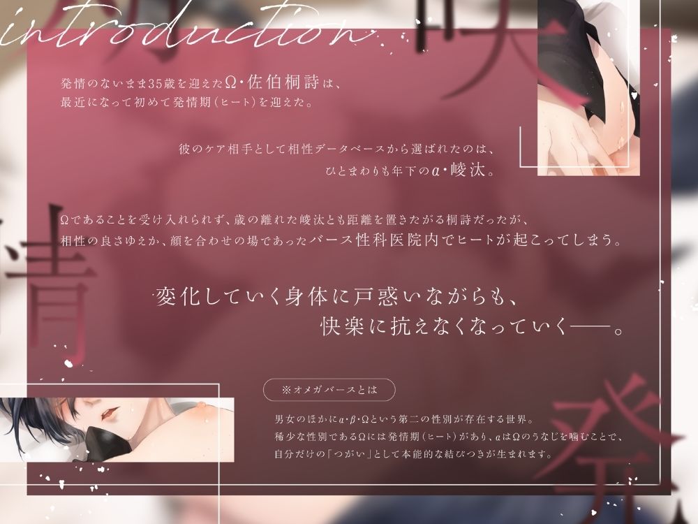 BL受け/ボイスドラマ『遅咲きΩの即堕ち発情期』 ラピルマ エロ画像4