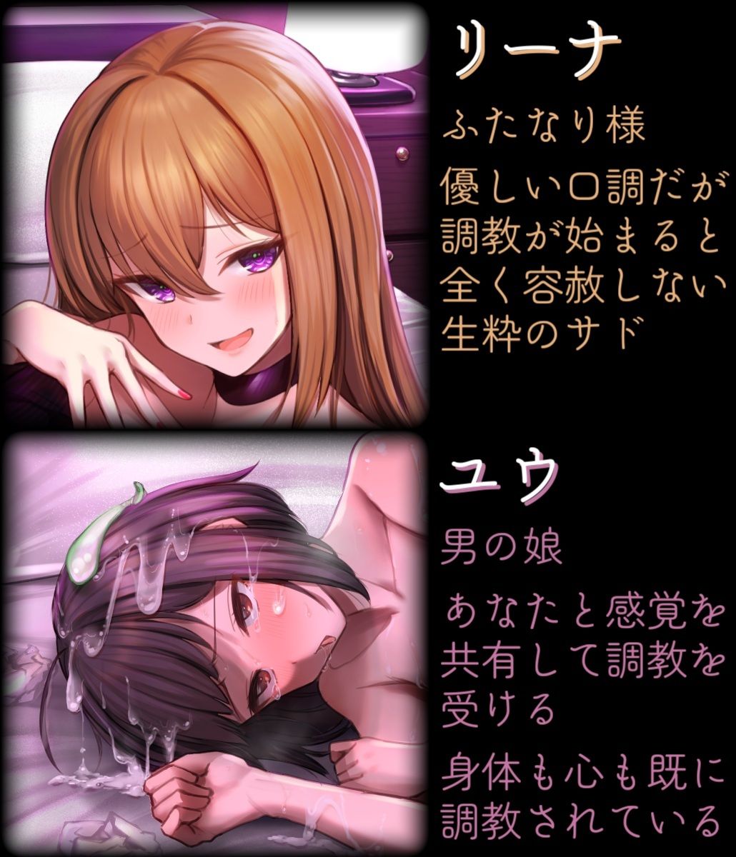 マゾメス前立腺完全敗北 ふたなりチンポで徹底調教される催●音声 画像2