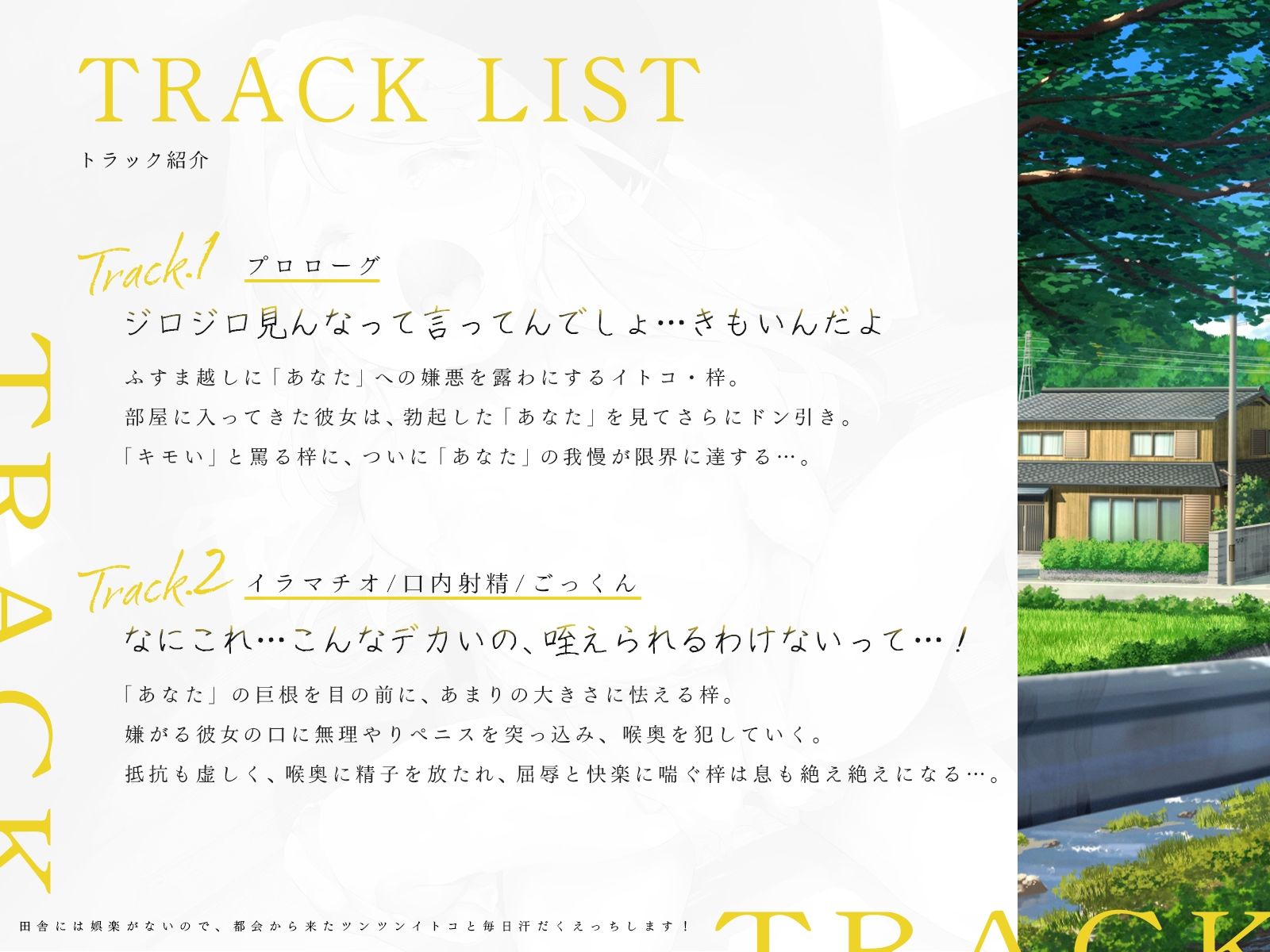 田舎には娯楽がないので、都会から来たツンツンイトコと毎日汗だくえっちします！（KU100マイク収録作品）_3