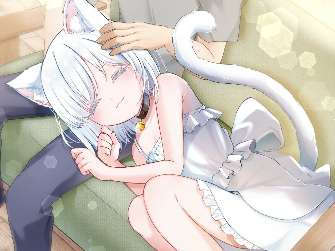 【1時間30分/バイノーラル】しろねこ娘のバニラちゃんは命の恩人のあなたを癒したい【癒し/けもみみ】 画像4