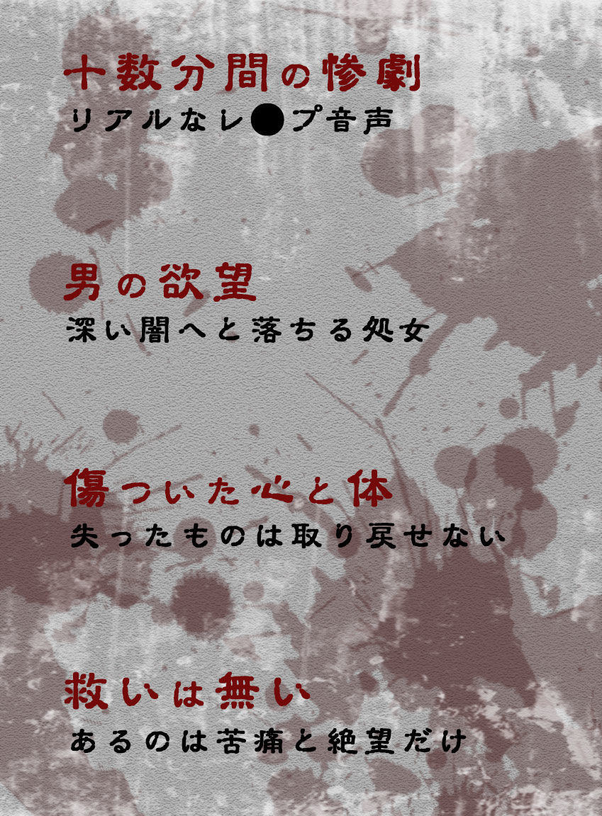 【レ◯プ音声】vol.013 無理やり犯●れる処女 ここな サンプル画像 3