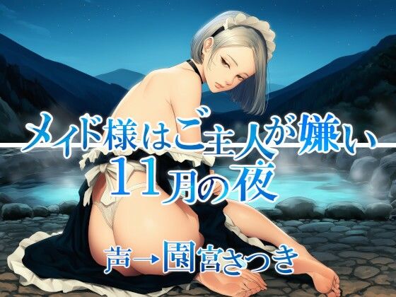メイド様はご主人が嫌い 11月の夜