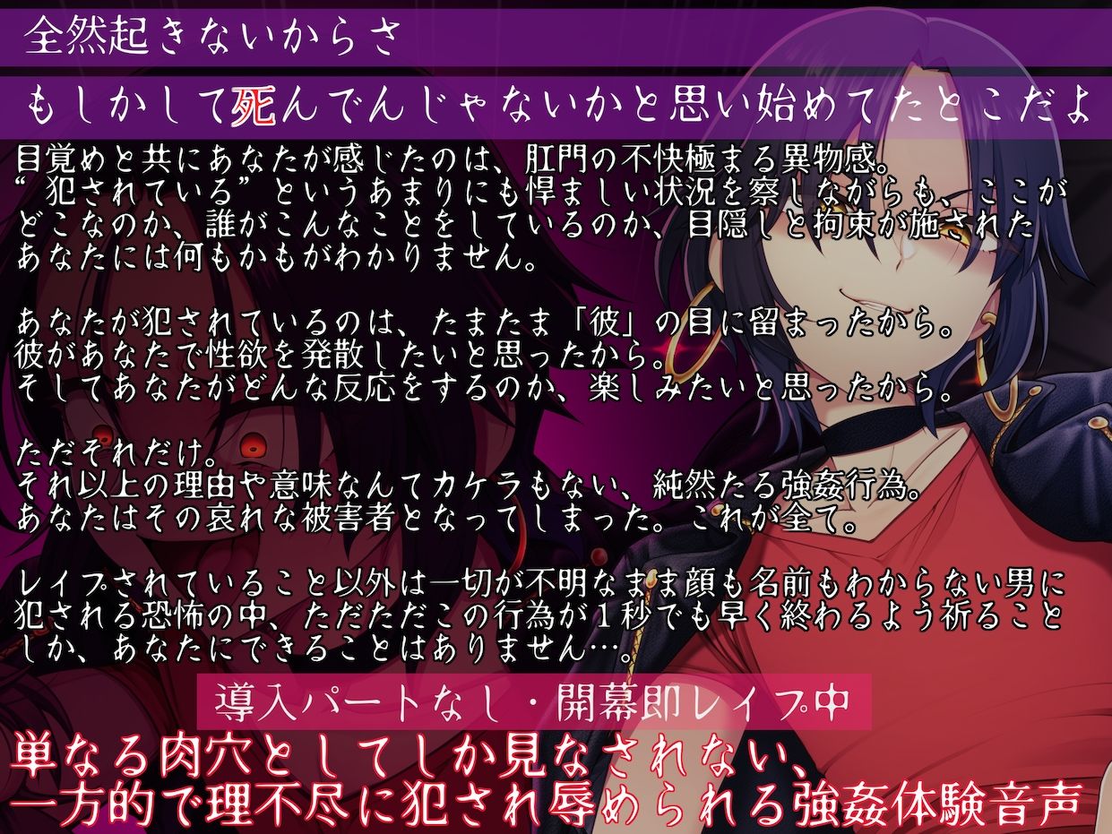 悪虐愉悦男の娘強●魔に目を付けられて傍若無人徹底暴虐レ●プ支配 〜逆らったらもっと嬲るから、良い子にしてろよ?〜 画像1