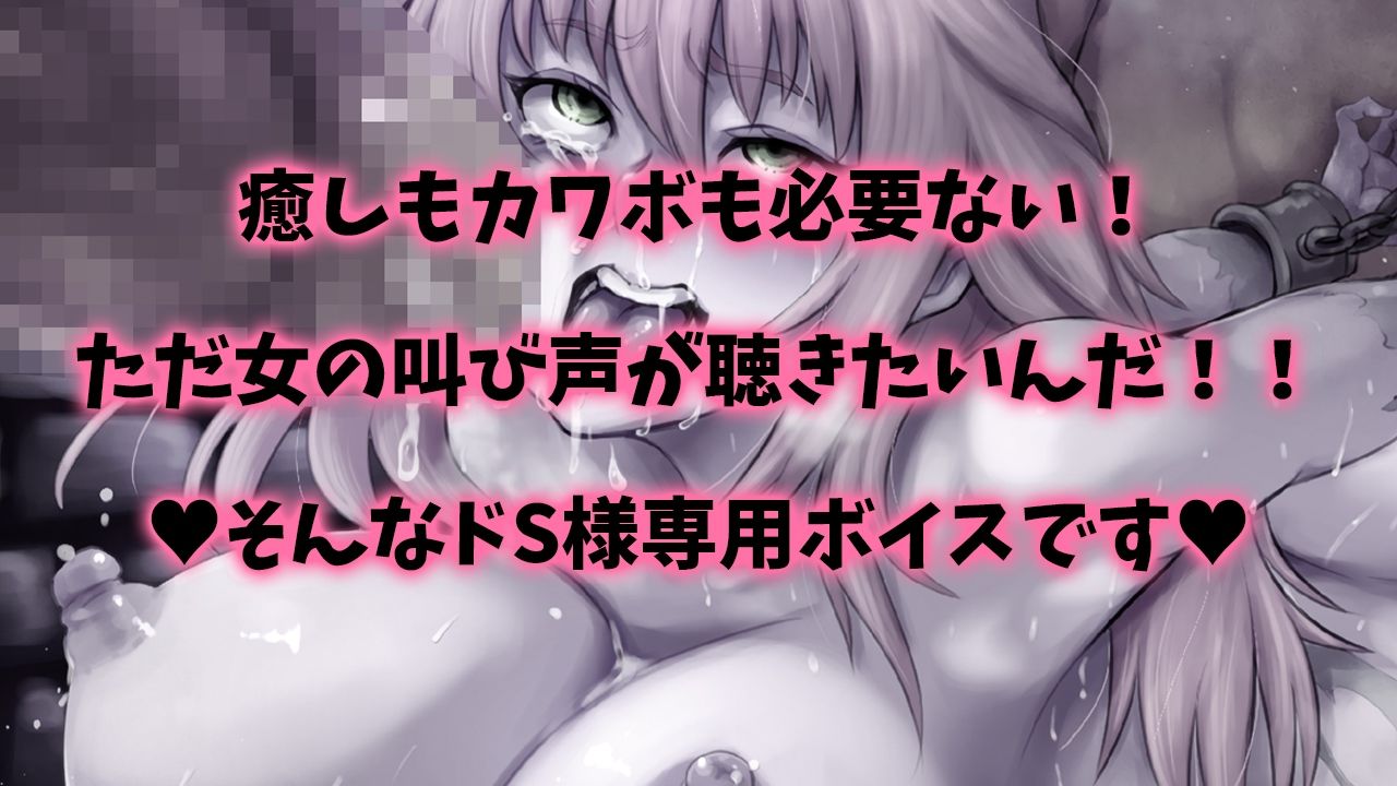 【精神崩壊オホ声絶叫】女騎士!オークちんぽに無様敗北!!〜異種間レ●プ!マンコ破壊・肛門性交・オホ声・怪声〜【早期購入でDM特典付き♪】 画像1