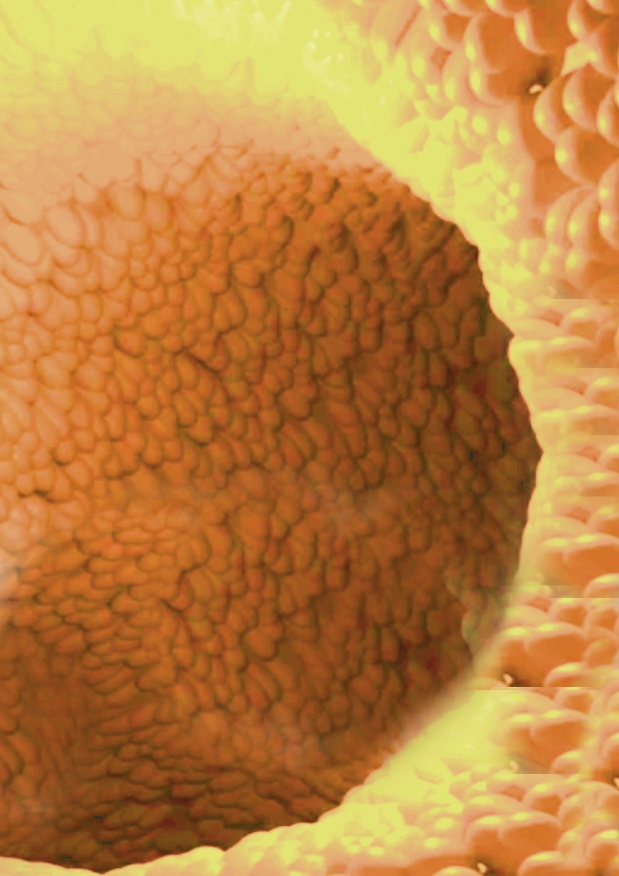 ◆カズノコ天井の和菜ちゃん2◆〜コンドームってなぁに？〜やっぱりオナニーはやめられないおまんこの穴の中のコリコリいじり…お モヤモヤしようず エロ画像5