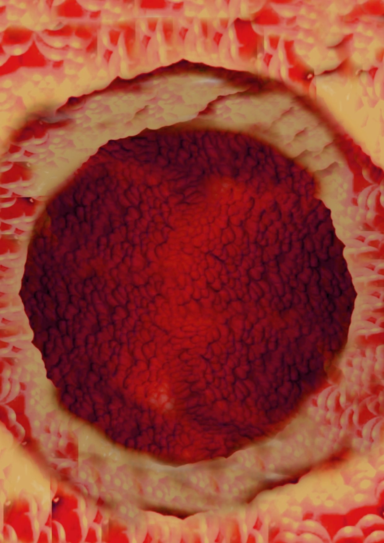 ◆カズノコ天井の和菜ちゃん2◆〜コンドームってなぁに？〜やっぱりオナニーはやめられないおまんこの穴の中のコリコリいじり…お モヤモヤしようず エロ画像6