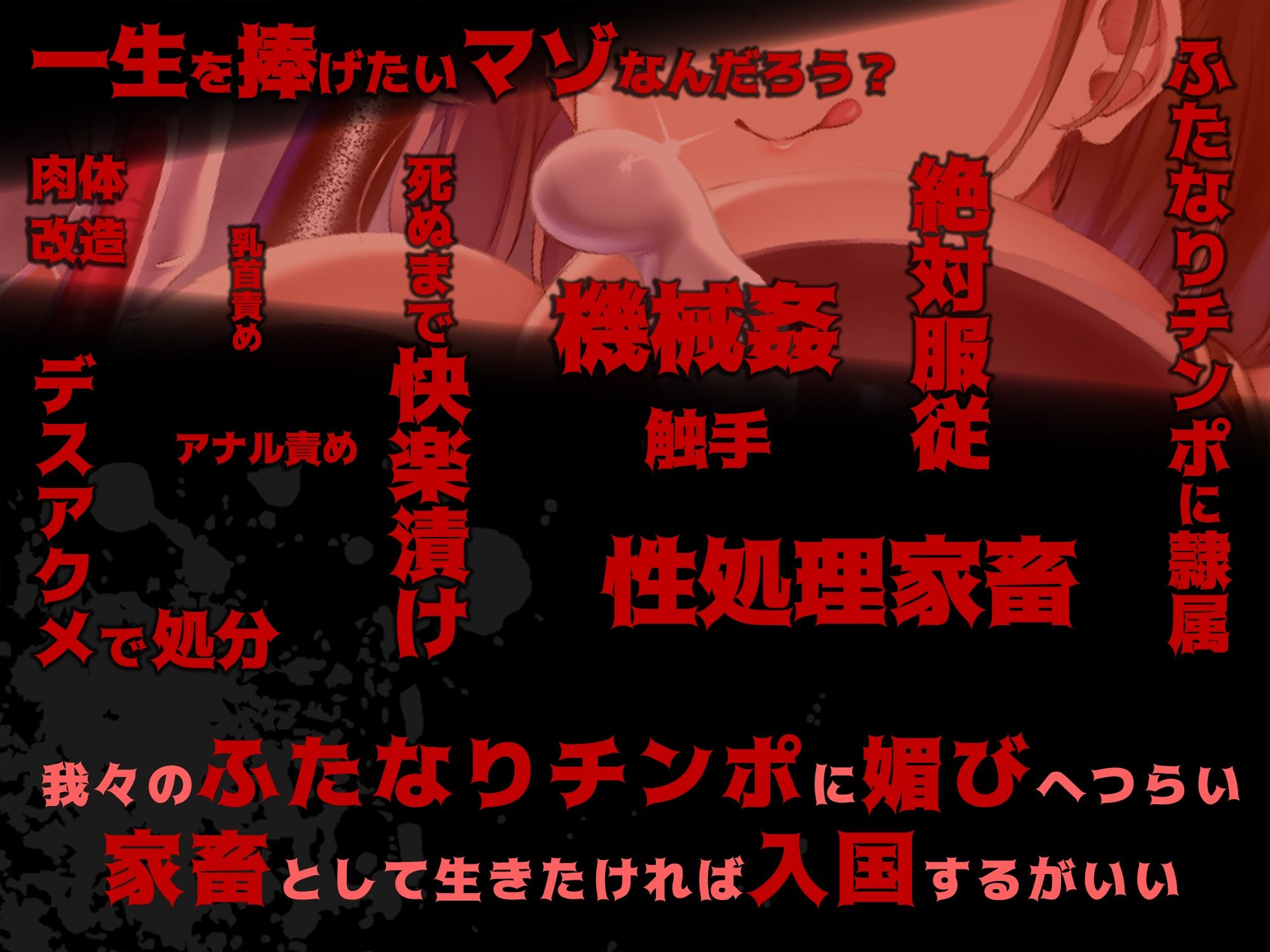 サンプル画像1:ふたなり国家 -The Futa Nation-(妹すたー) [d_710854]