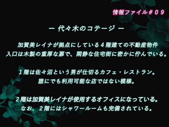 サンプル画像3:加賀美レイナに堕ちた童貞マゾの回顧録03 ー 背徳の自慰行為 ー(妄想倶楽部) [d_712618]