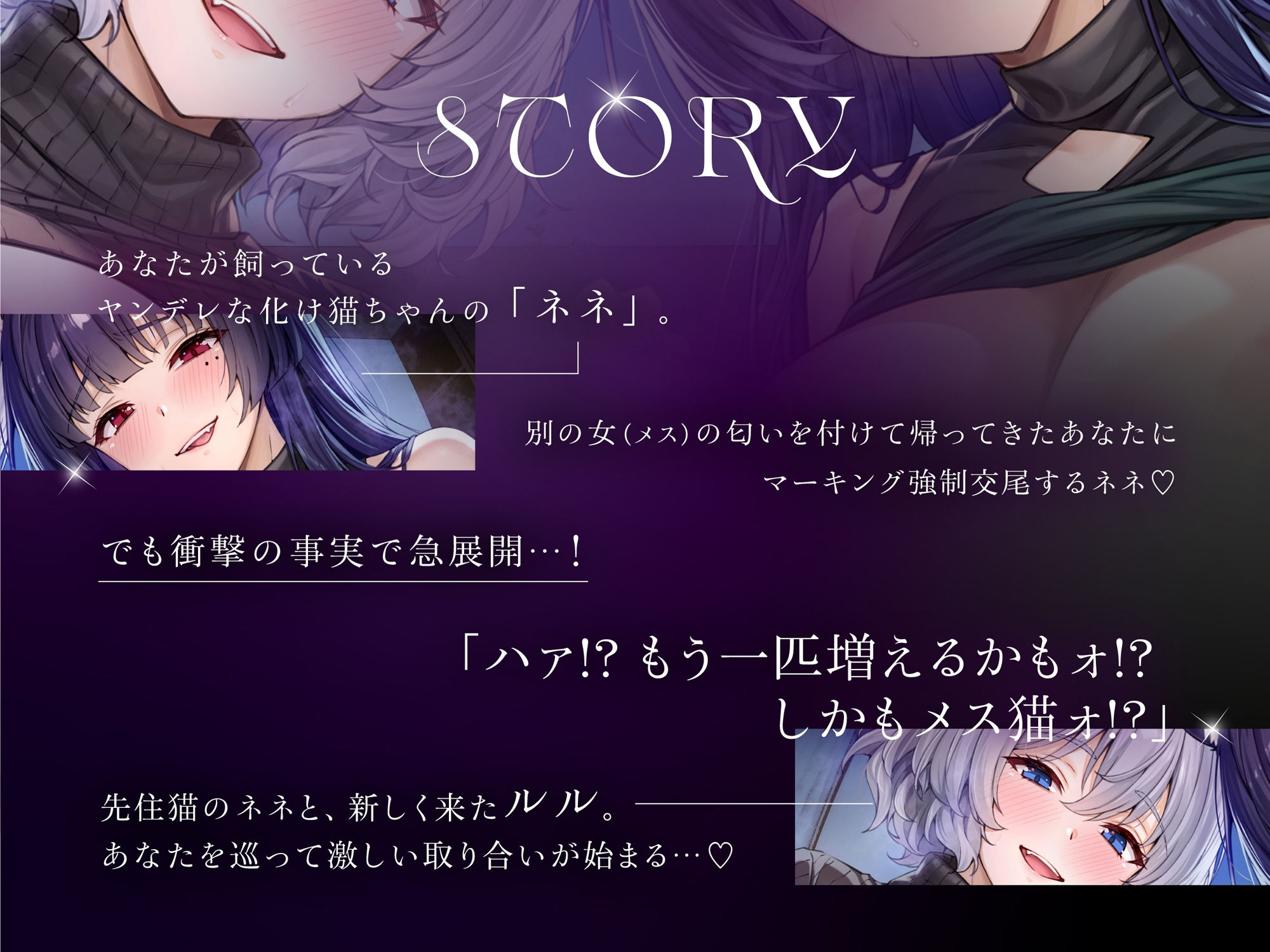 【本編対応CGイラスト200枚以上】うちのヤンデレな飼い猫ちゃん×2にメチャクチャに搾られちゃう話【Wハーレム】 | Baked Strontium