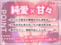 【新春お年玉価格♪】純愛彼女〜普段は静かなおっとり彼女の密着あまあま添い寝エッチ〜