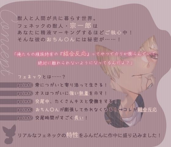 獣人（フェネック）宗くんは初恋を実らせたい！ 〜あまあまちゅっちゅっして大好きエッチが止まらない〜 サンプル2