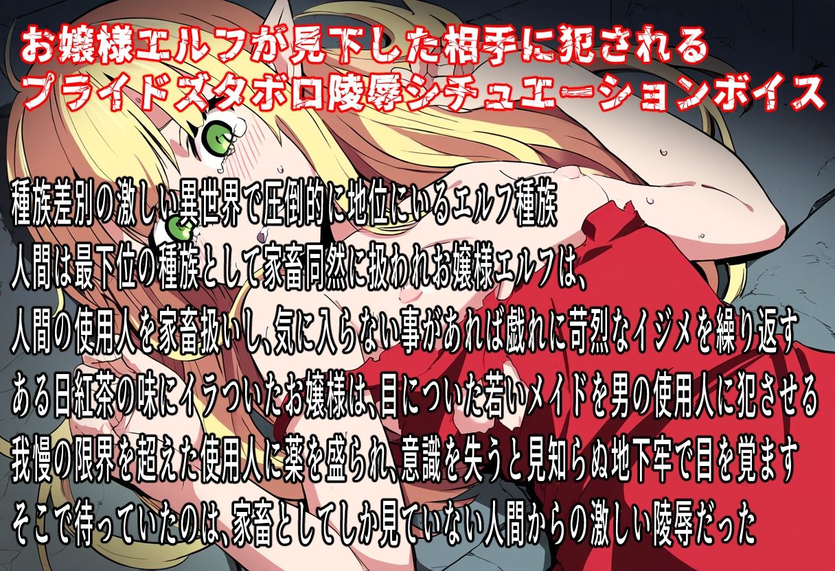 サンプル画像1:エルフ至上主義お嬢様の絶望人間交尾(おにぎり本舗) [d_724826]