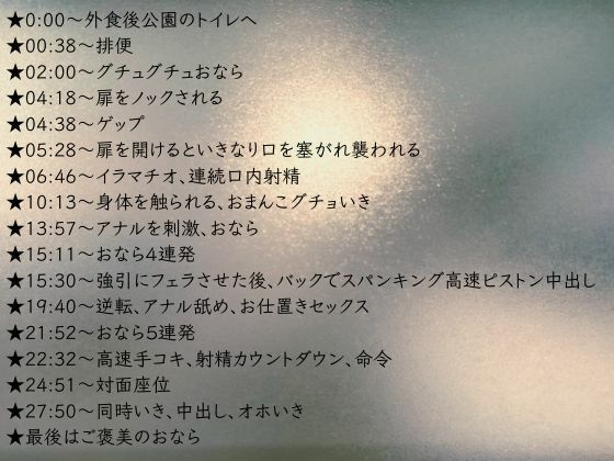 【スカトロ×野外×逆転】公園のトイレで襲われイラマチオ！アナル責めスパンキング強引挿入★逆転★命令言葉責め手コキ！淫乱腰振り中出し サンプル1