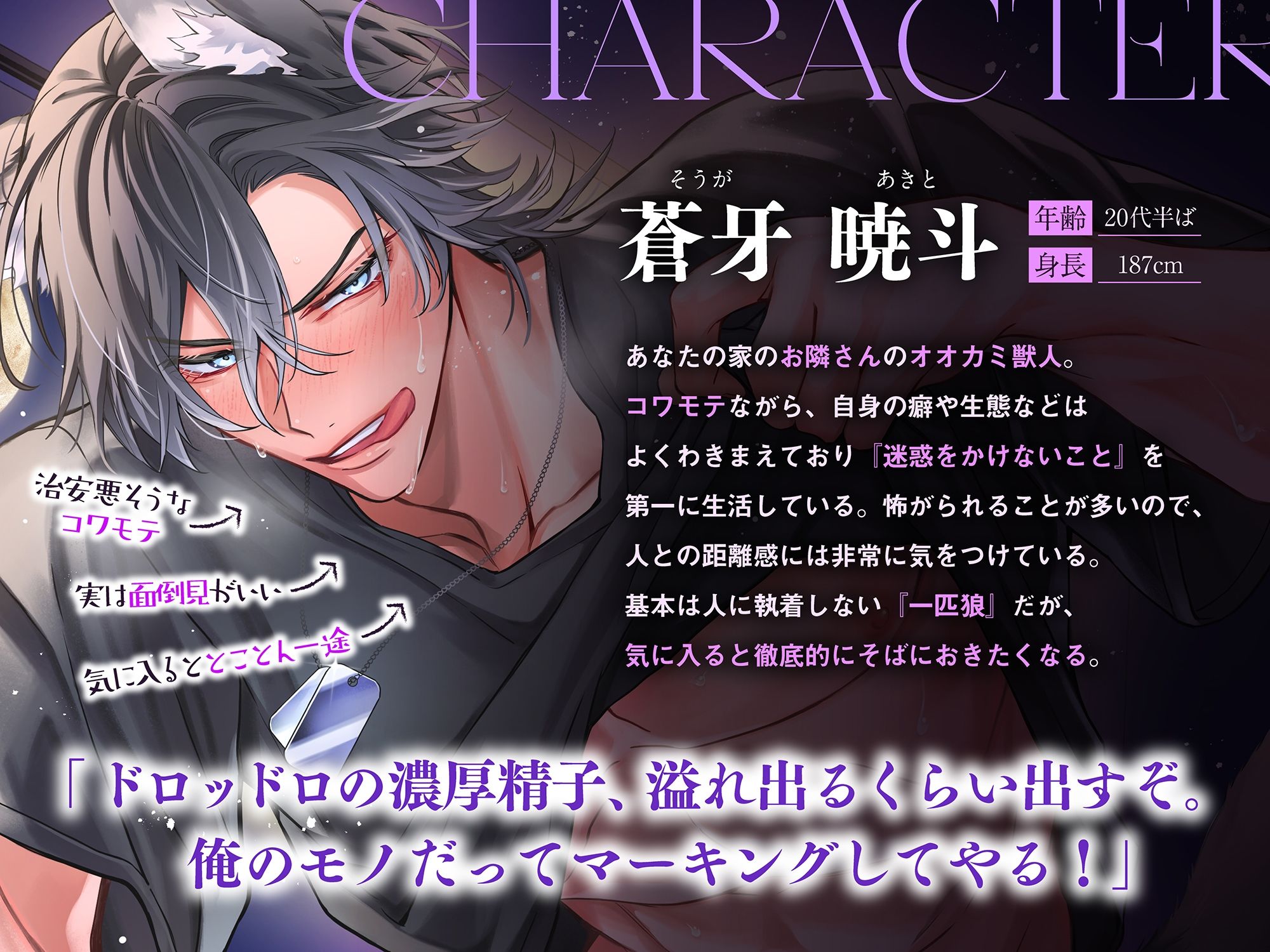 【満月の夜に注意】隣のオオカミさんは発情期。〜執着心たっぷりなヤンデレ獣人の溺愛暴走グチャトロえっち【嫉妬レ●プ×肉食求愛】 画像3