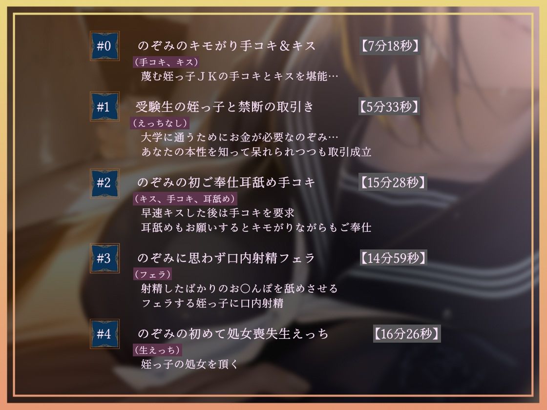 サンプル画像 3