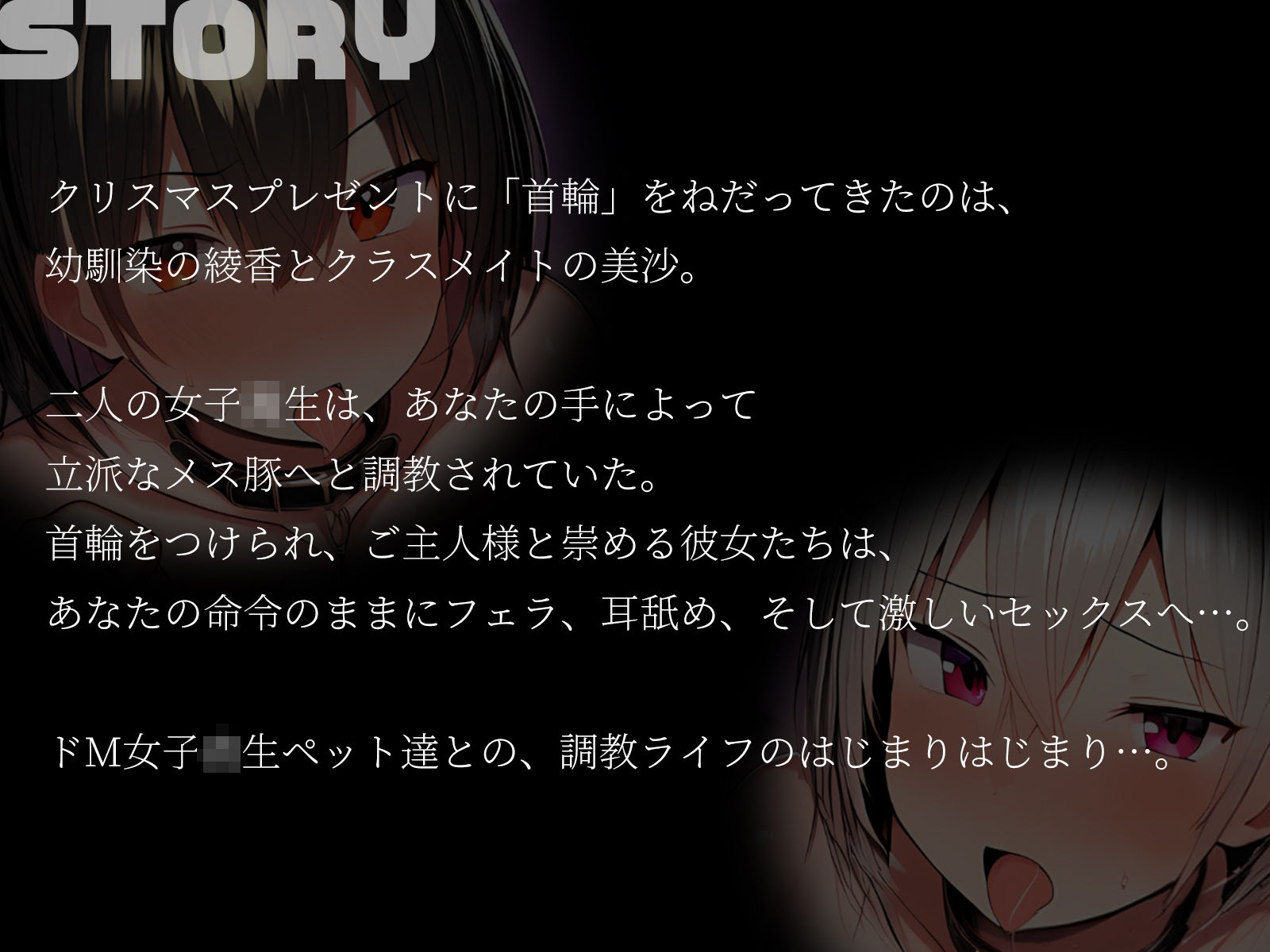 【KU100】プレゼントに首輪をねだるドM2人を再調教 画像2