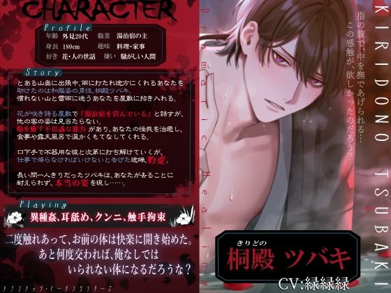 【執着×怪異×癒し】桐殿ツバキの迷い家〈ドラマチック・ヒーリングシリーズ〉 画像1