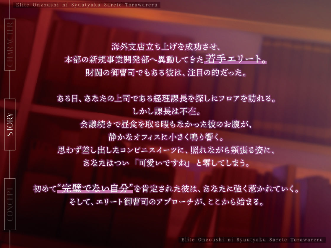 エリート御曹司に執着されて囚われる 画像1