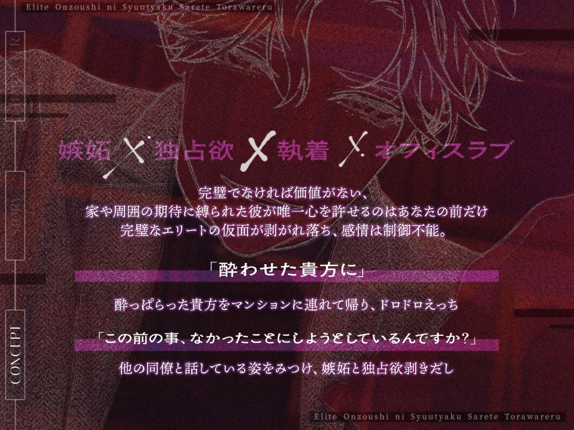 エリート御曹司に執着されて囚われる 画像3