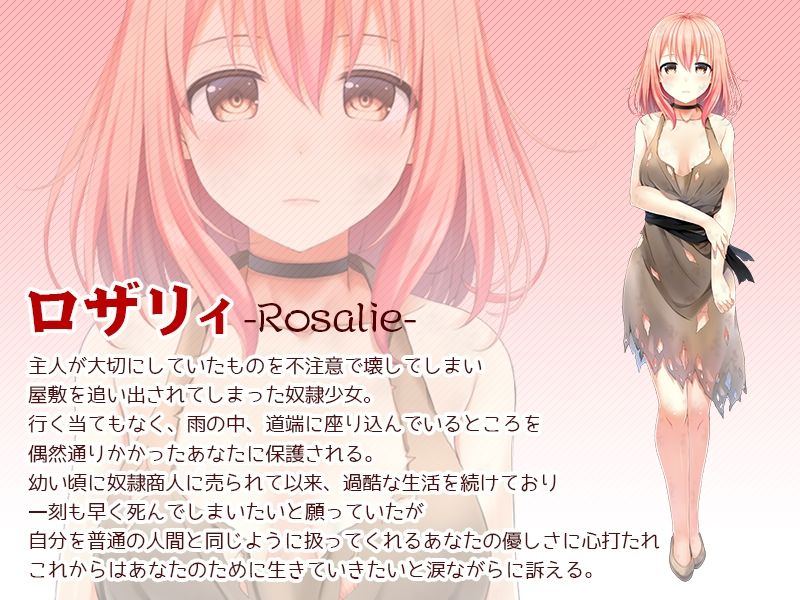 奴●少女ロザリィ総集編 ―捨てられた奴●少女が貴方と幸せになるまでの物語―_0